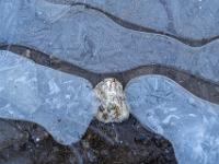 Kieselstein in klarer Eisschicht umgeben von milchigen Lufteinschlüssen